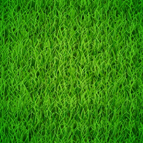 Background of green grass vector image