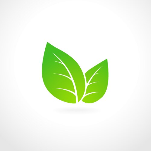 Green leaf ecology emblem vector image