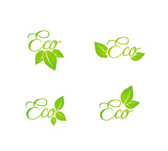 Set of green leaf eco concept icons vector image