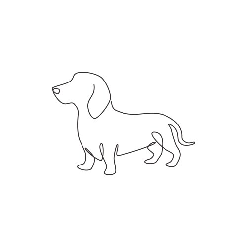 Single continuous line drawing cute dachshund vector image