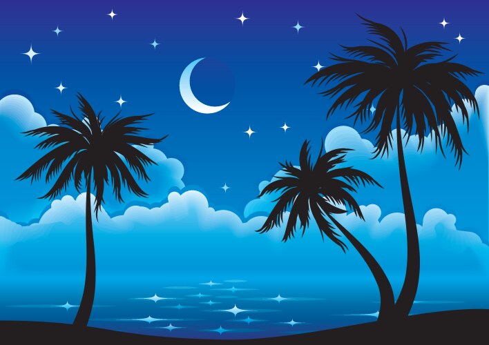 Night coast vector image