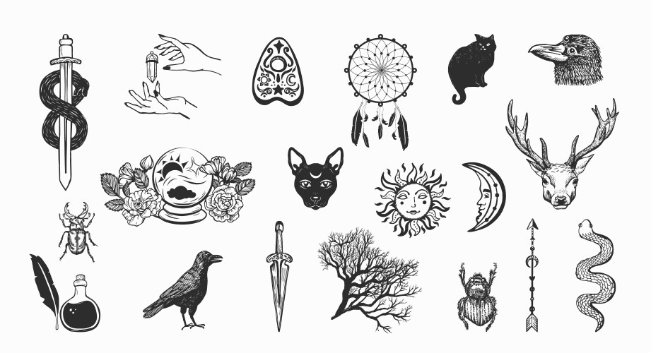 Witchcraft and magic collection vector image