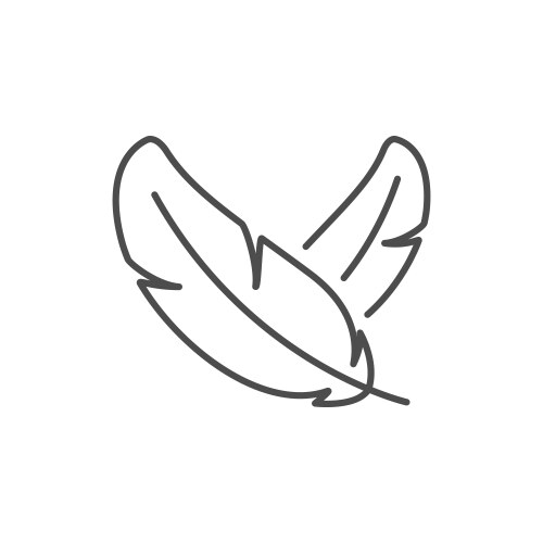 Bird feathers line outline icon vector image