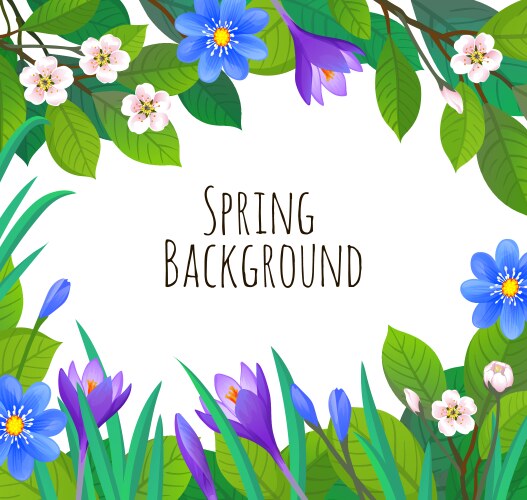 Spring and summer banner template vector image