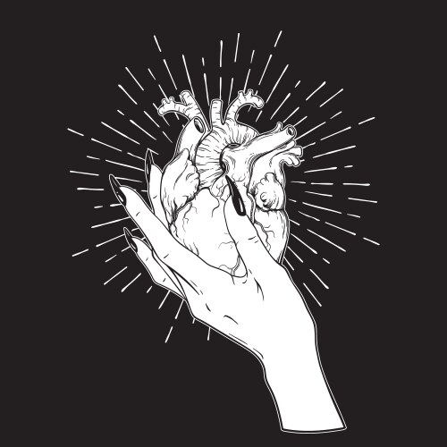 Human heart in graceful female hand isolated vector image