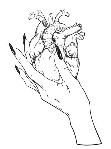 Human heart in graceful female hand isolated vector image