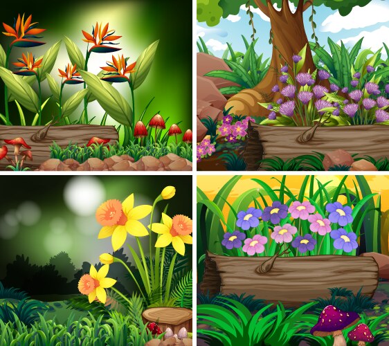 Set background scene with nature theme vector image