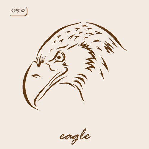 Eagle vector image