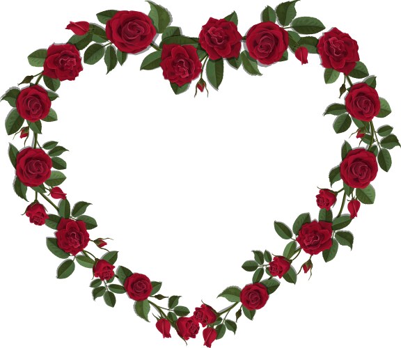 Roses in a heart shape symbol vector image