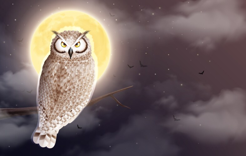 Moon owl night composition vector image