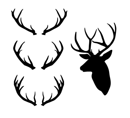 A set deer or elk antlers head vector image