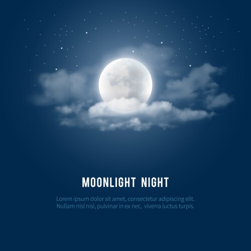 Moonlight night vector image