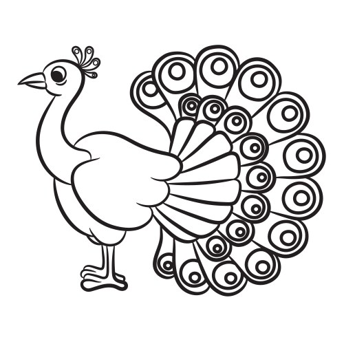 Peacock outlined vector image