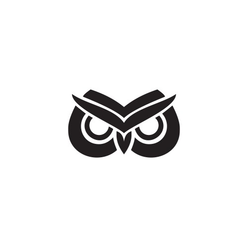 Owl bird logo icon design template vector image