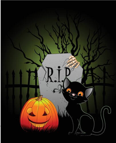 Halloween night vector image