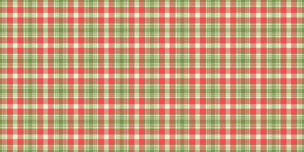 Us texture plaid textile irish seamless vector image