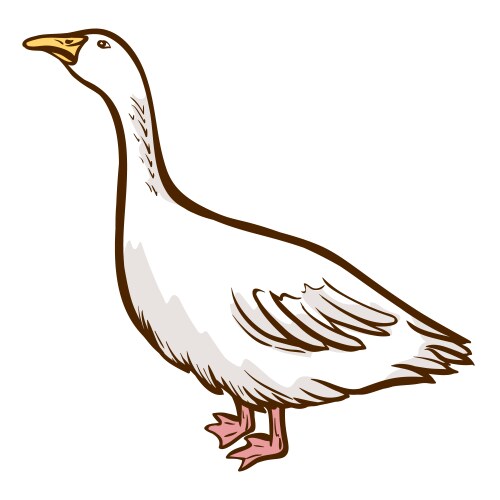 goose hand drawn icon domestic bird waterbird vector image