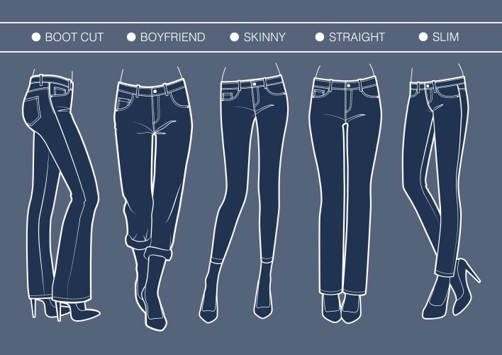 Women denim fits vector image