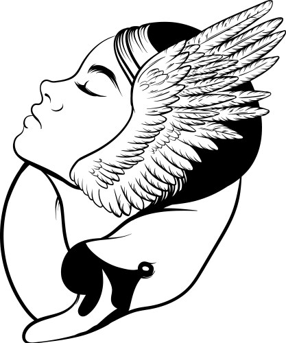 hand drawn swan with beautiful wings portrait vector image