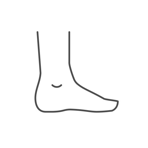 flat foot line outline icon vector image