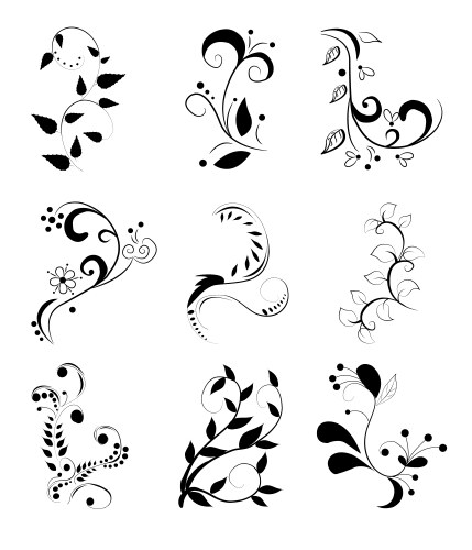 Set of floral elements vector image