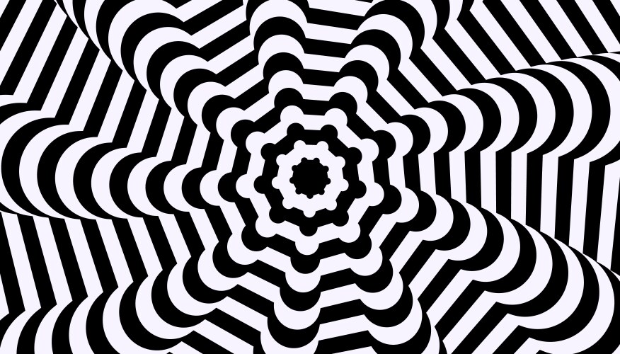 Abstract pattern of black and white lines optical vector image