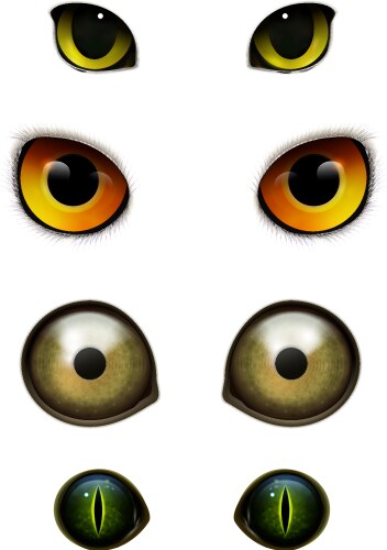 monster animals cats realistic eyes vector image