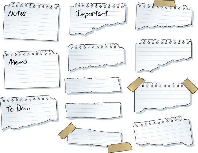 Torn note pad pages vector image