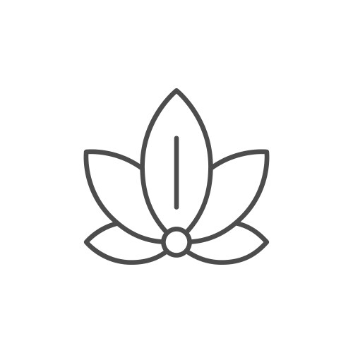 lotus position icon or yoga concept vector image