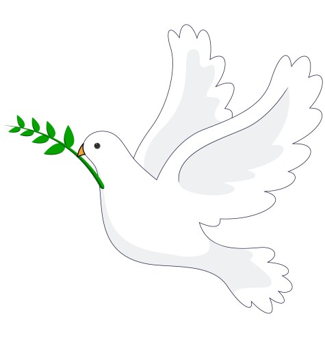 dove peace vector image