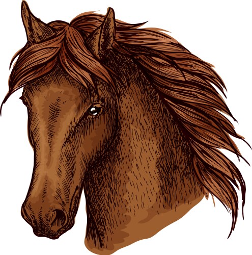 Brown graceful horse portrait vector image