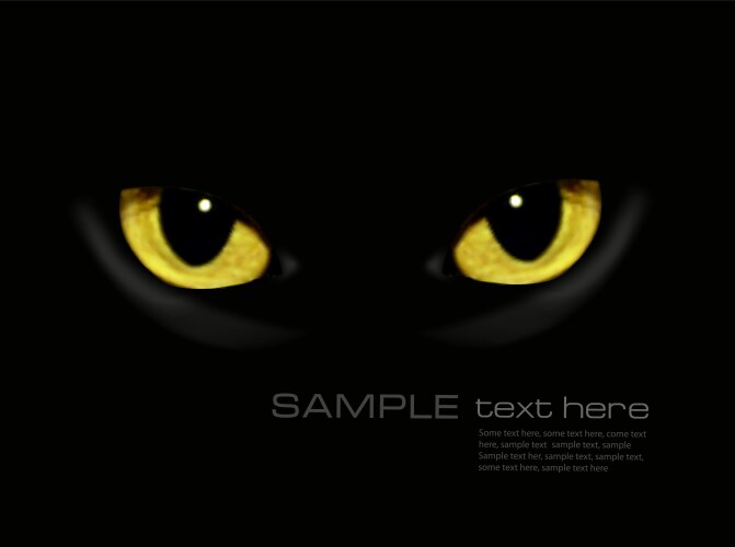 Cat eyes in dark night vector image