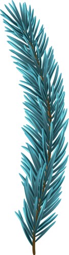 blue christmas fir branch vector image