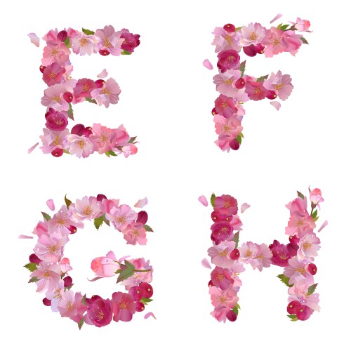 Spring alphabet with cherry flowers efgh vector image