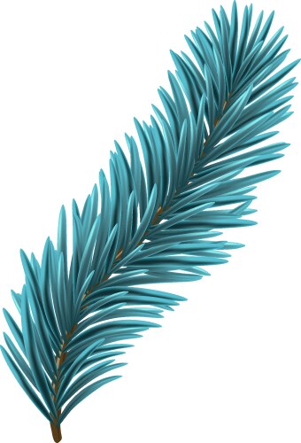 blue christmas fir branch vector image