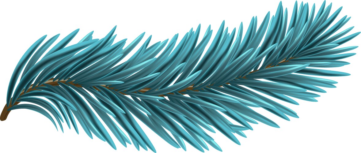 blue christmas fir branch vector image