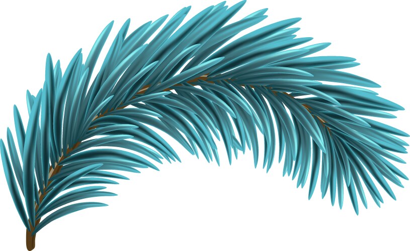 blue christmas fir branch vector image