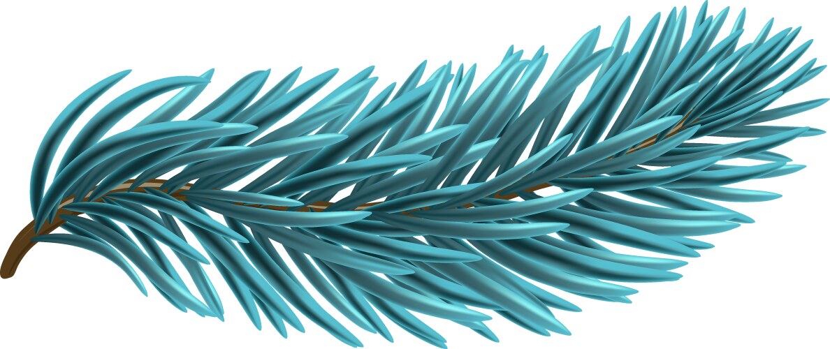 Blue christmas fir branch vector image