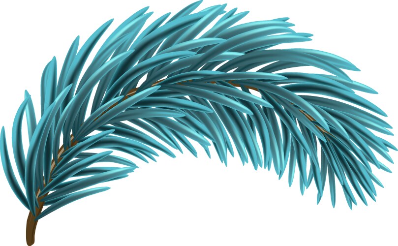 Blue christmas fir branch vector image