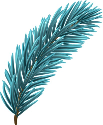 blue christmas fir branch vector image