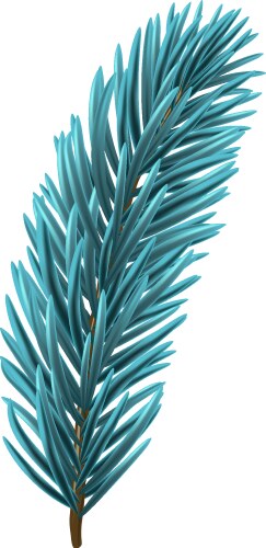 blue christmas fir branch vector image