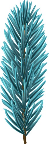 blue christmas fir branch vector image