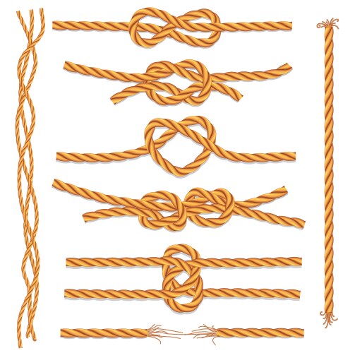 Set of ropes and knots vector image