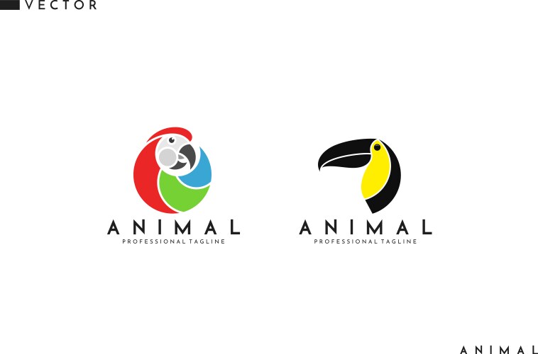 Bird logo vector image