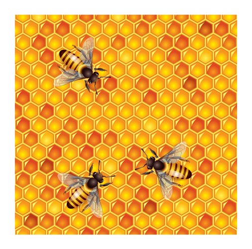 Honeycells bees seamless vector image