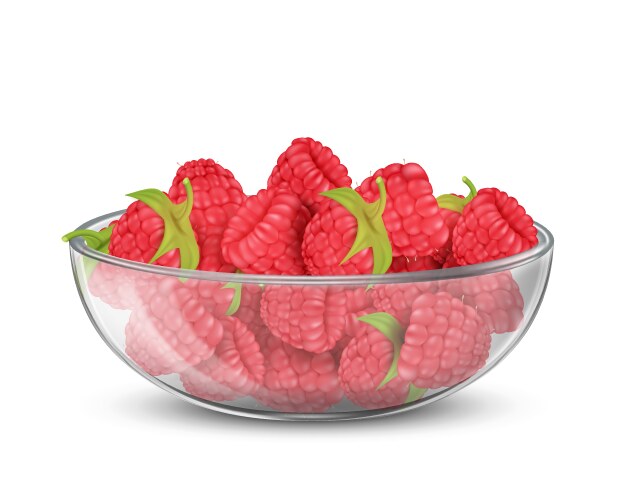 Glass bowl with heap of ripe raspberry vector image