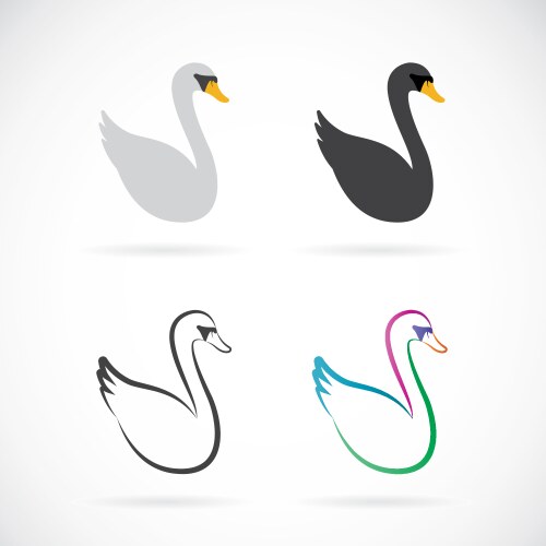 image of swan design on white background vector image