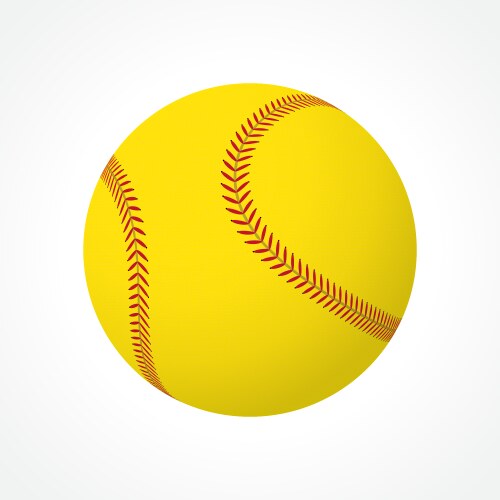 Softball ball vector image