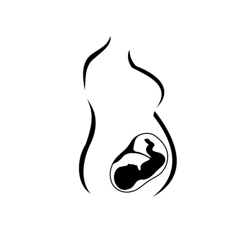 body of pregnant mother with a baby in womb vector image