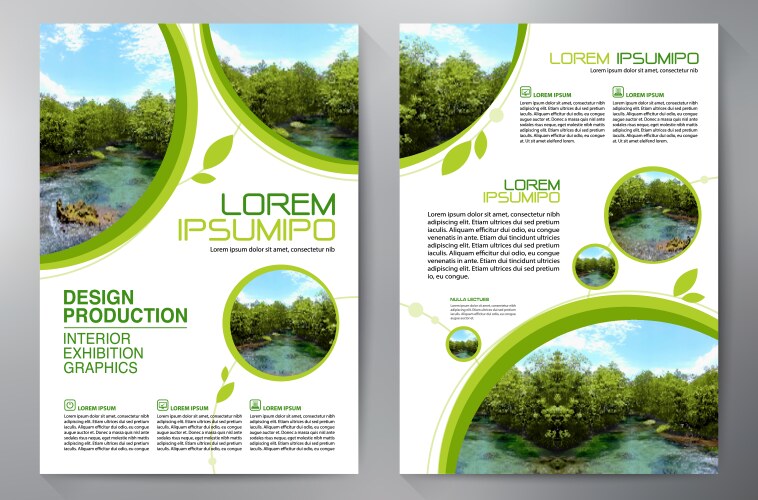 Business brochure flyer design leaflets a4 vector image